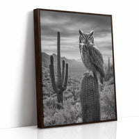 Night Watch Over Saguaro Plains