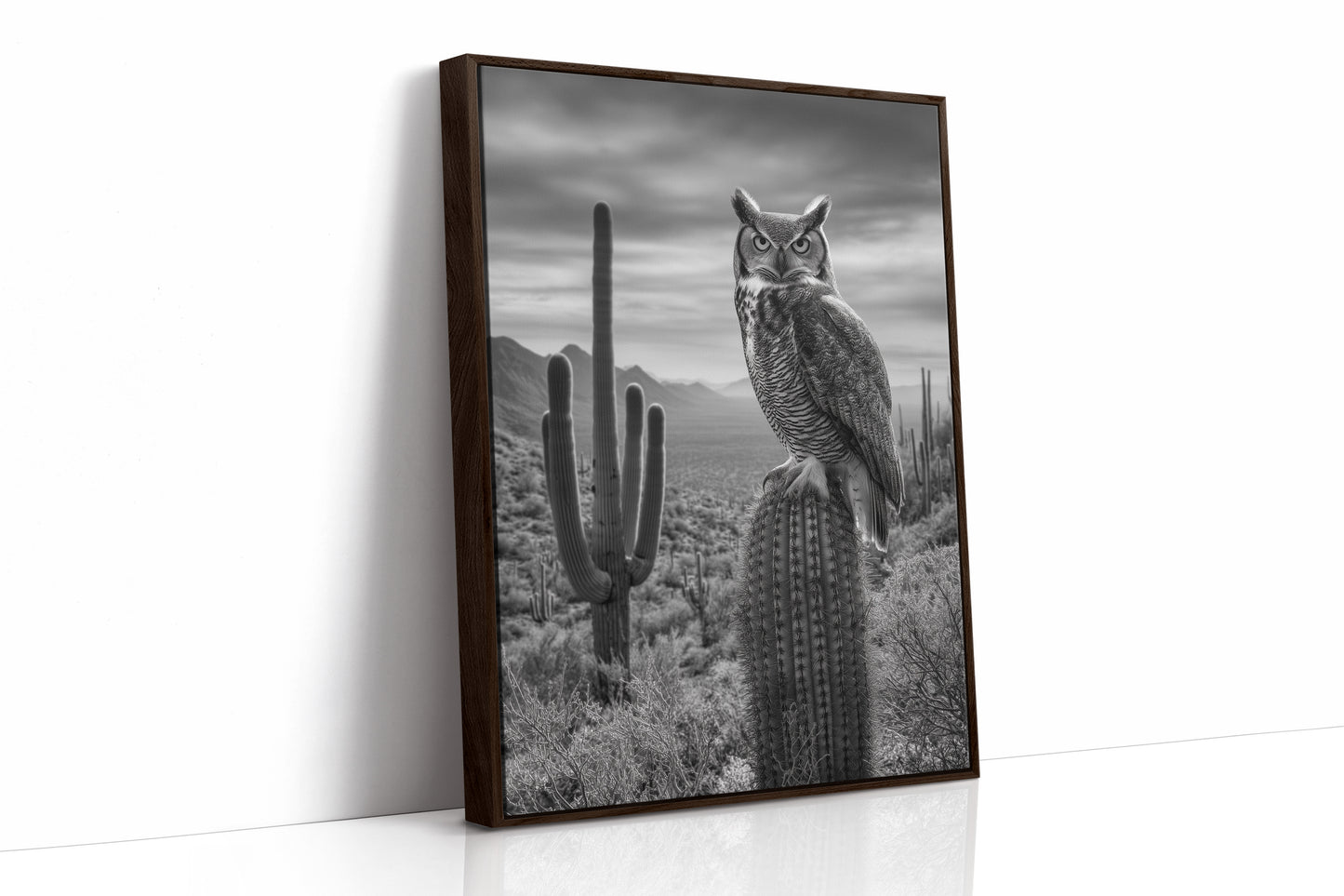 Night Watch Over Saguaro Plains