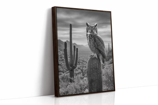 Night Watch Over Saguaro Plains