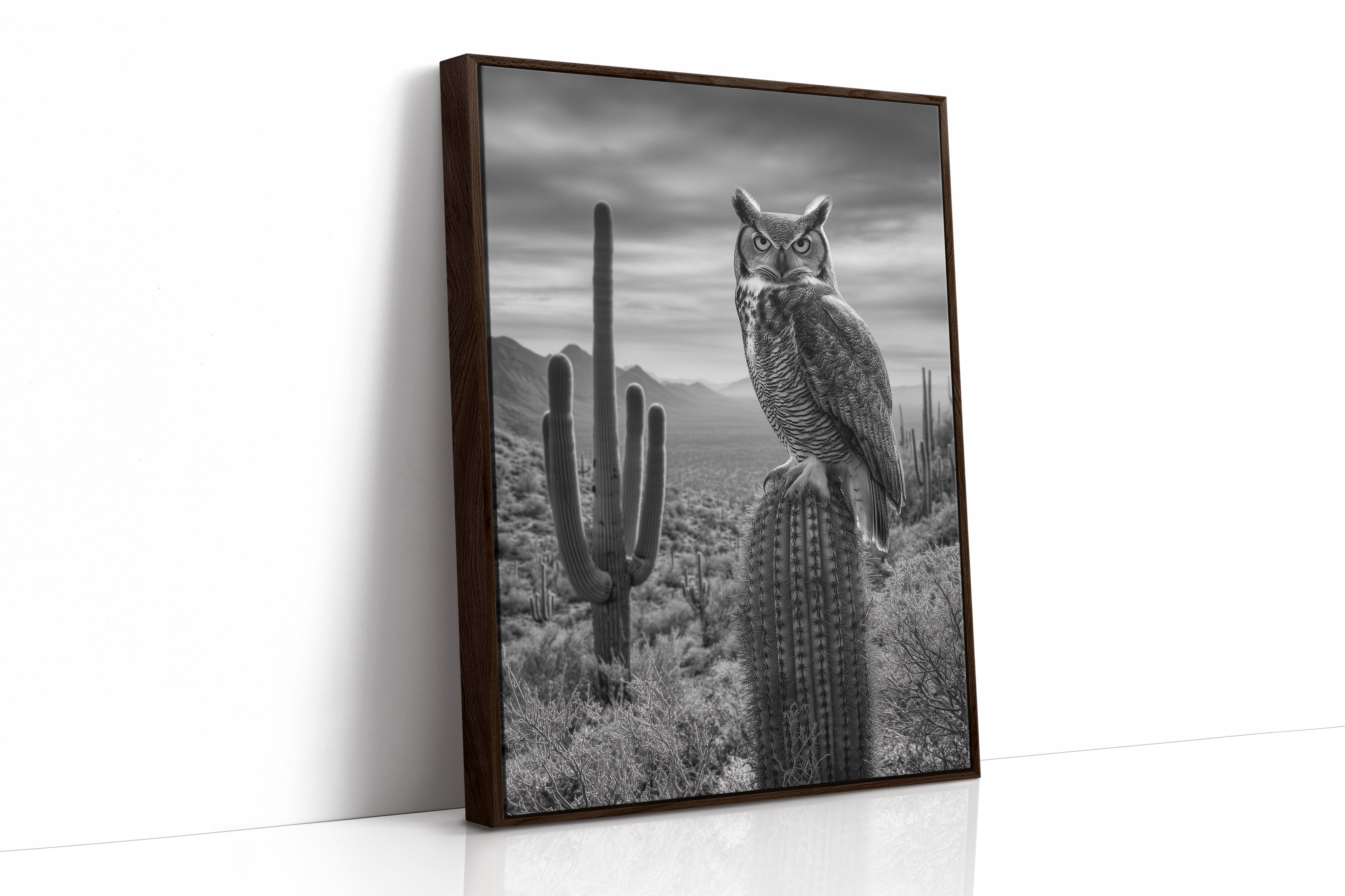 Night Watch Over Saguaro Plains