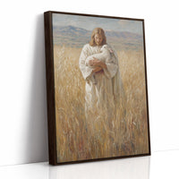 Gentle Light Through Winter Fields