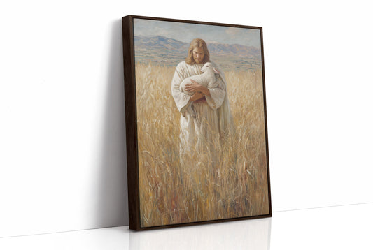 Gentle Light Through Winter Fields