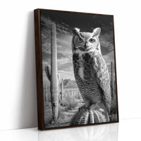 Saguaro Nights Watch The Owl