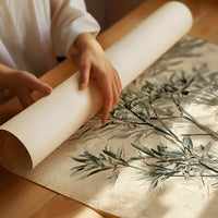 Olive Branch, Shadow on Plaster