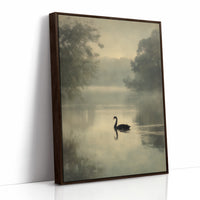 Lone Swan Crosses Misty Waters