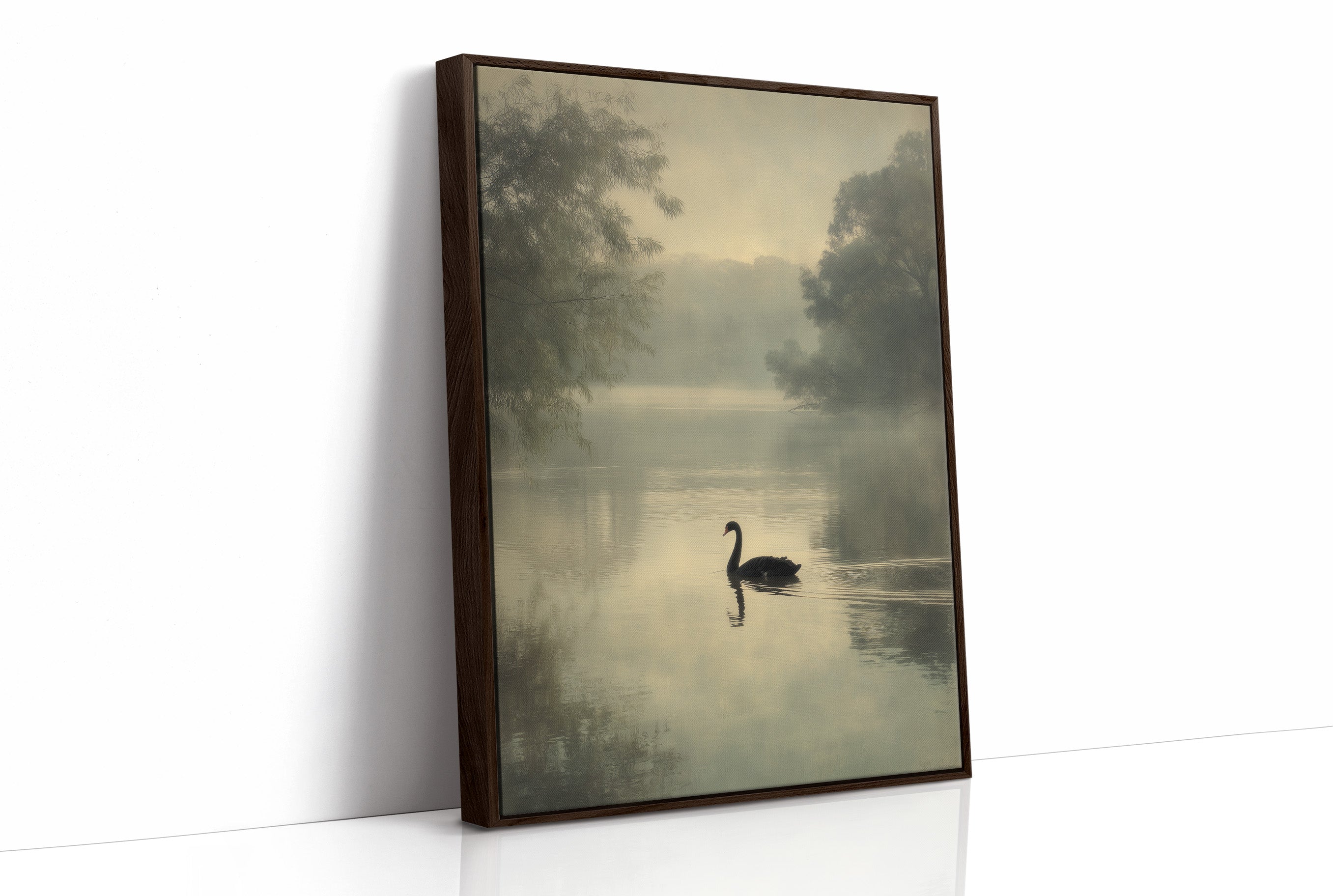 Lone Swan Crosses Misty Waters