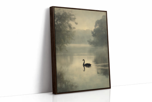 Lone Swan Crosses Misty Waters