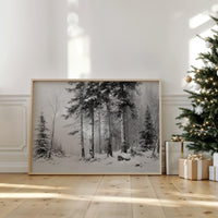 Silent Pines Paint December's Story