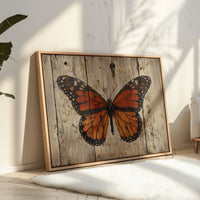 Weathered Wings Tell Summer Stories