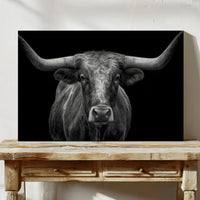 texas longhorn black and white canvas