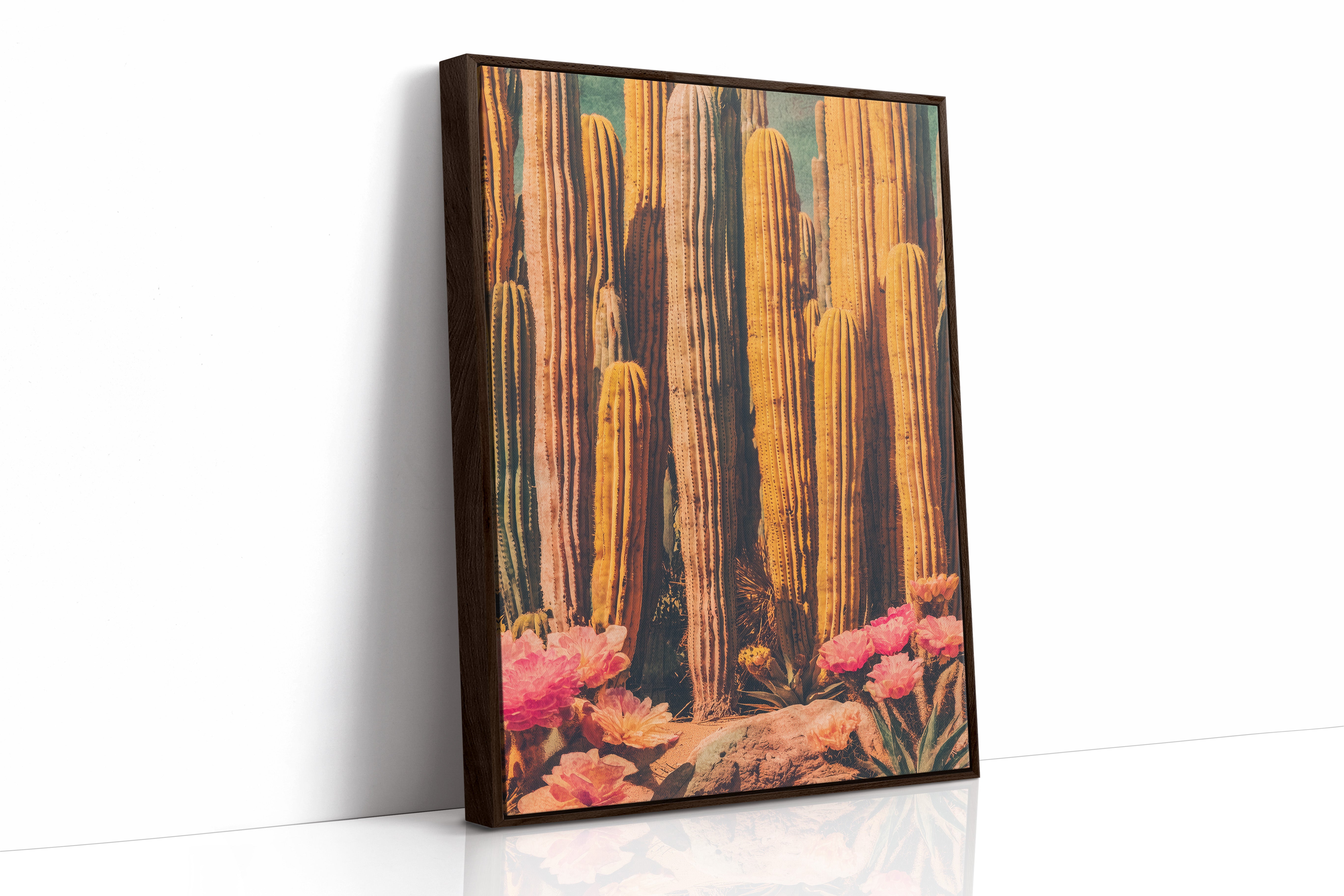 Saguaros Paint Their Desert Stories