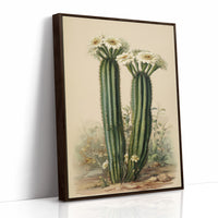 Saguaro Stories Light Desert Memories