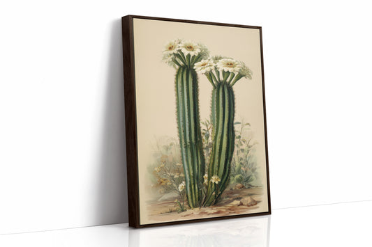 Saguaro Stories Light Desert Memories