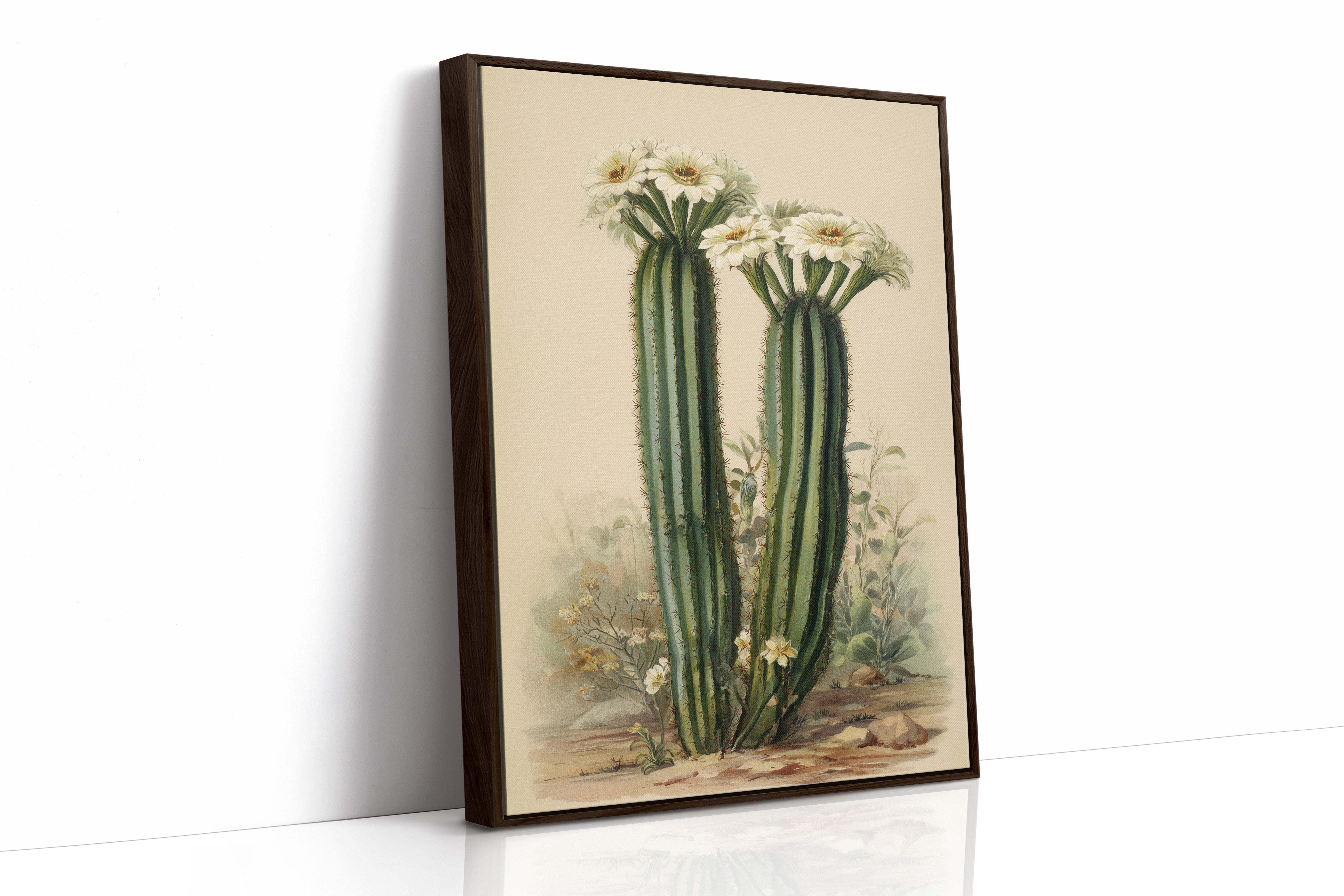 Saguaro Stories Light Desert Memories