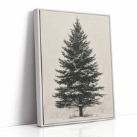 Lone Spruce in Snowfall