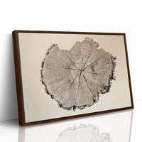 Timber Tales of Time