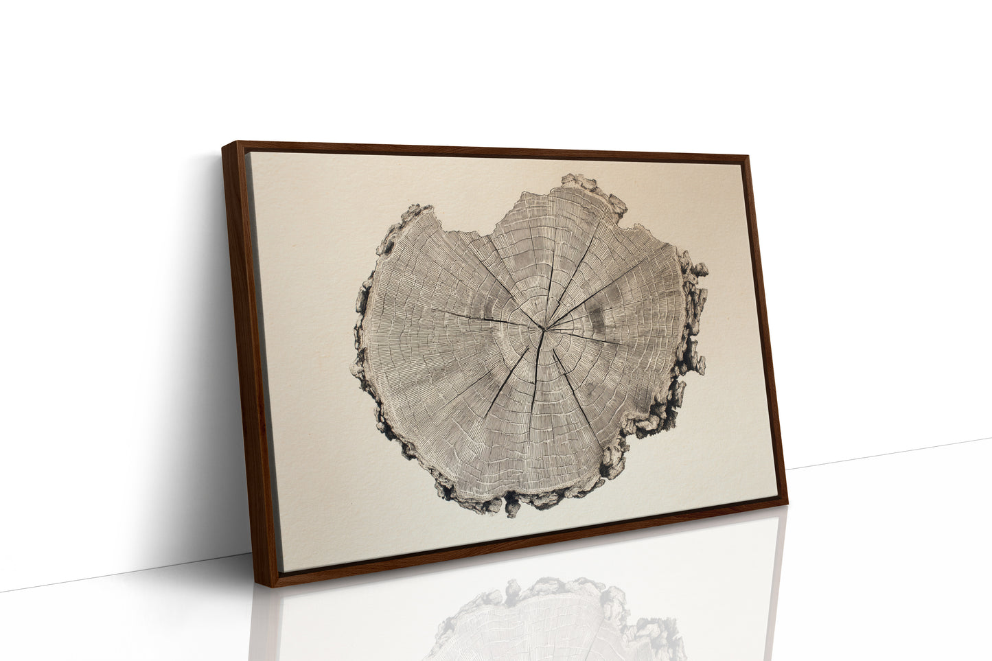 Timber Tales of Time