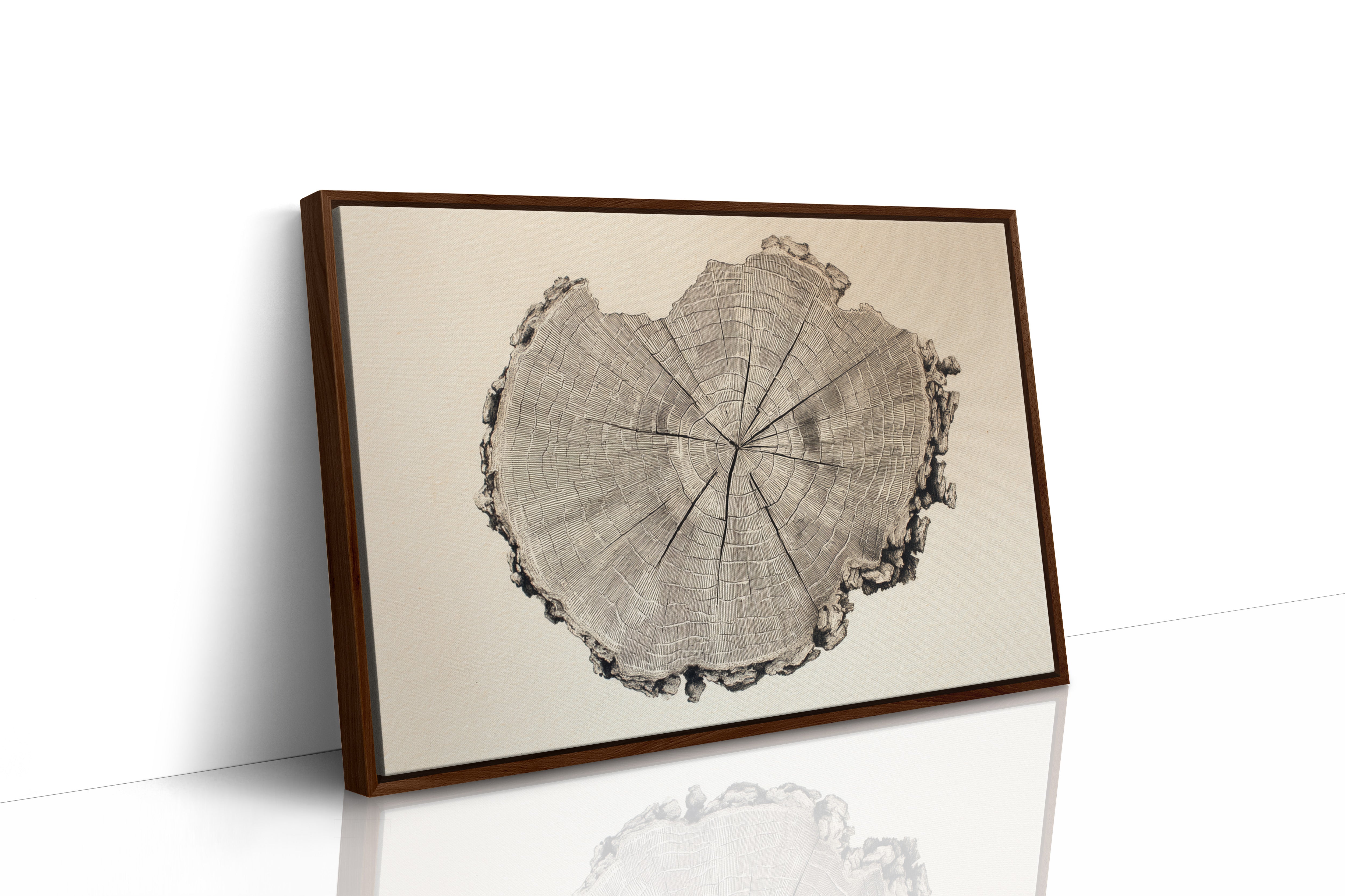 Timber Tales of Time