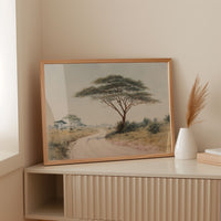 Acacia Bends Over Winding Path