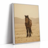 Lone Desert Mustang