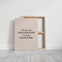 If It Does Not Challenge You It Will Not Change You
