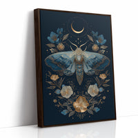 Midnight Moth Dances With Stars