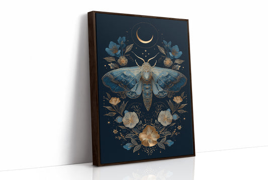 Midnight Moth Dances With Stars