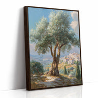 Rustic Charm Meets Mediterranean Dreams