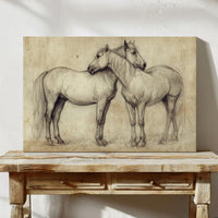 Equine Companionship Study