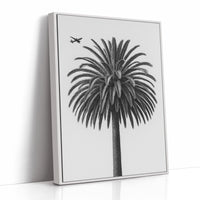 Palm Crown and Passing Plane