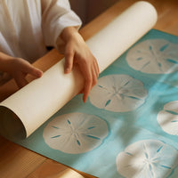 Sand Dollars Dance On Teal