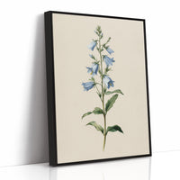 Botanical Elegance: Bellflower's Delicate Symphony