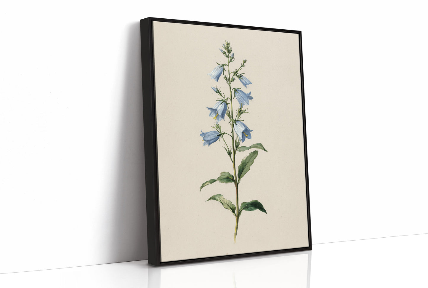 Botanical Elegance: Bellflower's Delicate Symphony