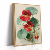 The Nasturtium Never Apologises