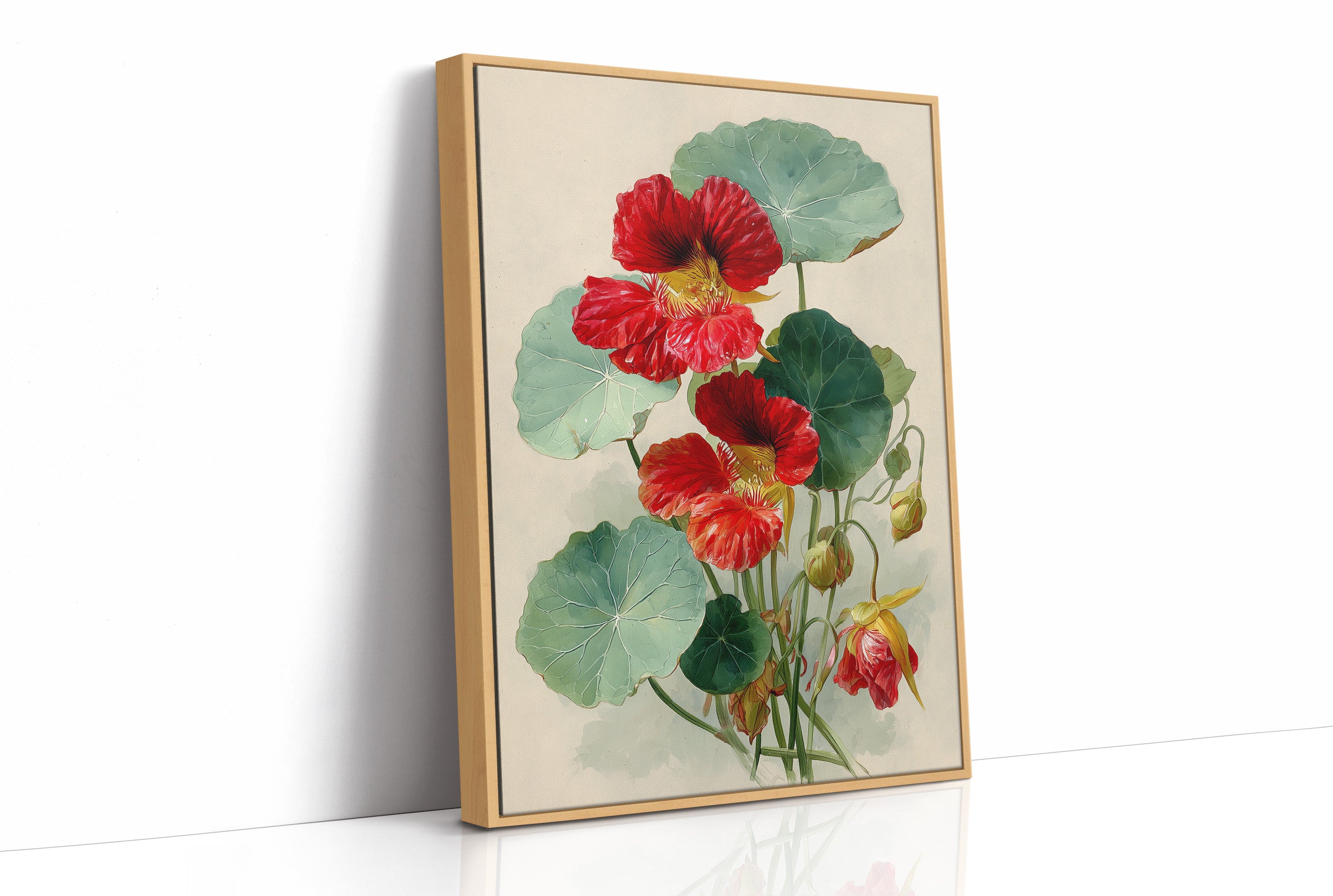 The Nasturtium Never Apologises