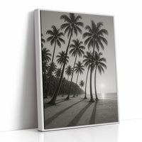 Palm Shadows at Sunrise