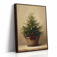 Evergreen Simplicity Against Dark Walls