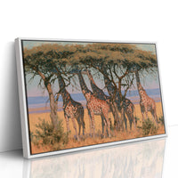 Giraffe Tower, Acacia Shade