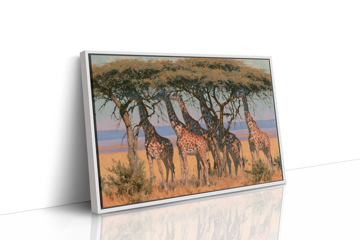 Giraffe Tower, Acacia Shade