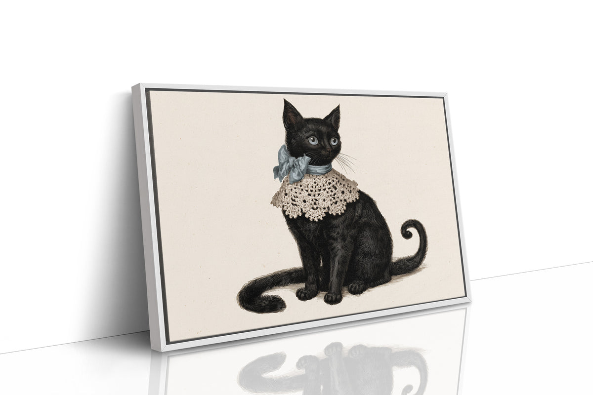Sunday Best, Extra Tail Included