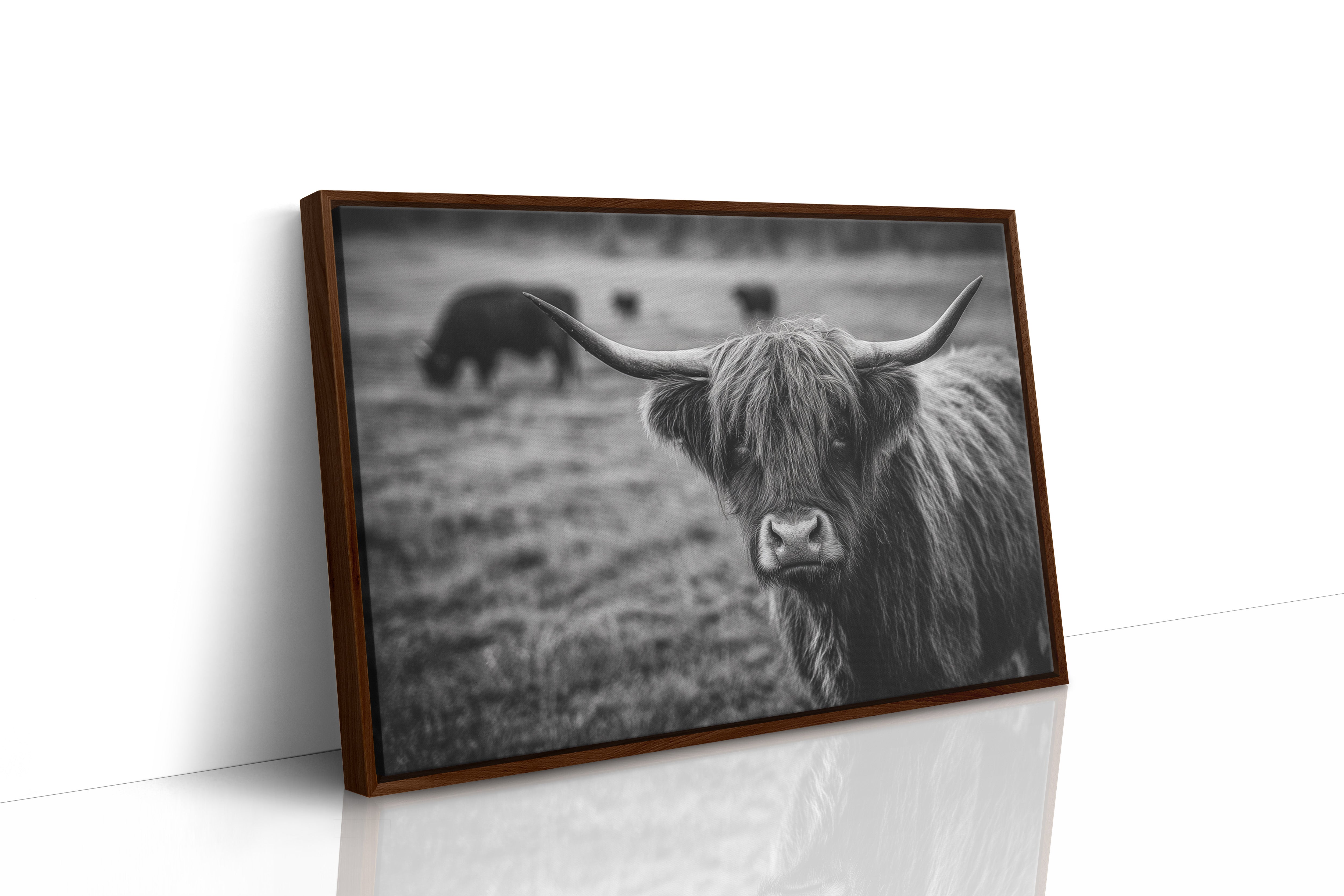 Gaze of the Highland Guardian