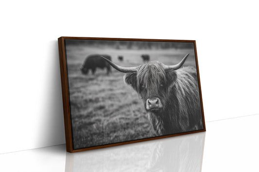 Gaze of the Highland Guardian