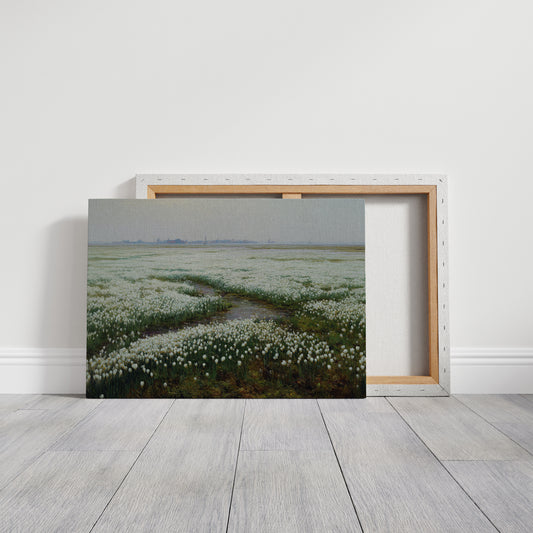White Tulips Dance Through Dutch Fields
