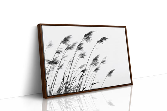 Swaying Secrets of the Marsh