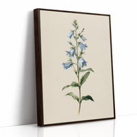 Botanical Elegance: Bellflower's Delicate Symphony