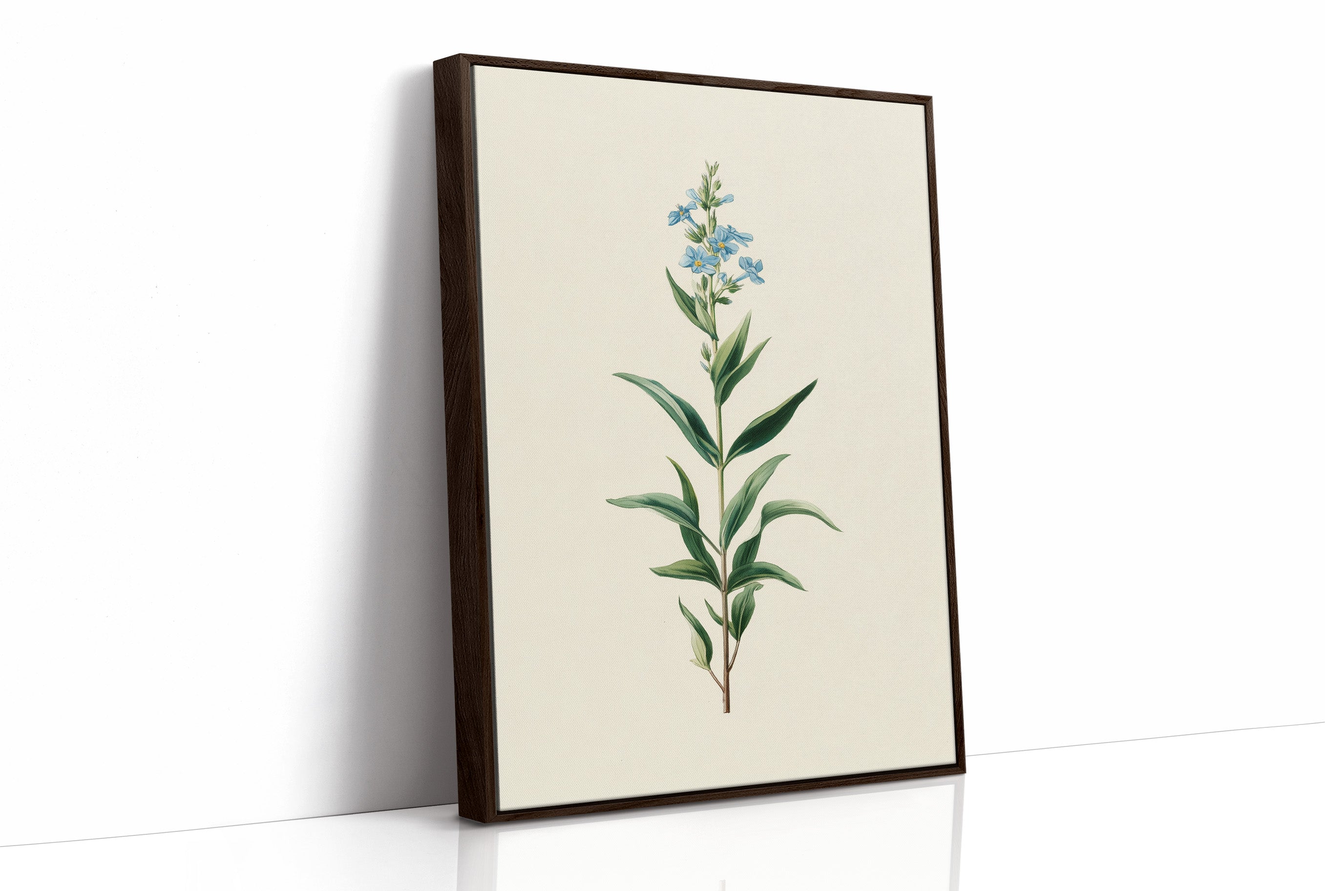 Azure Elegance: Botanical Study of Forget-Me-Not