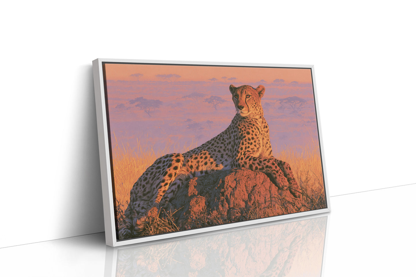 Cheetah, Termite Mound Perch