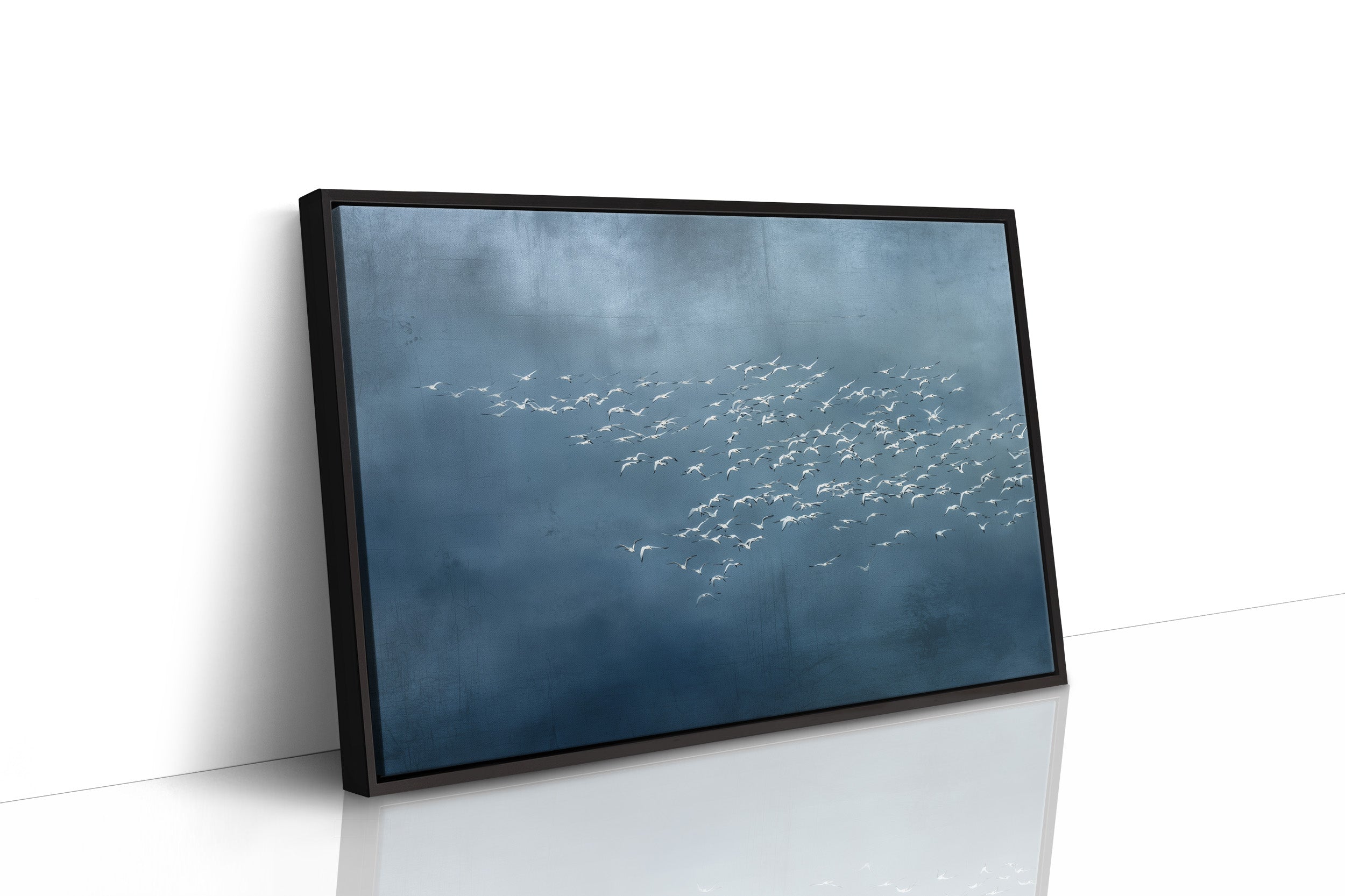 White Wings Across Blue Silence