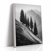 Windswept Timberline