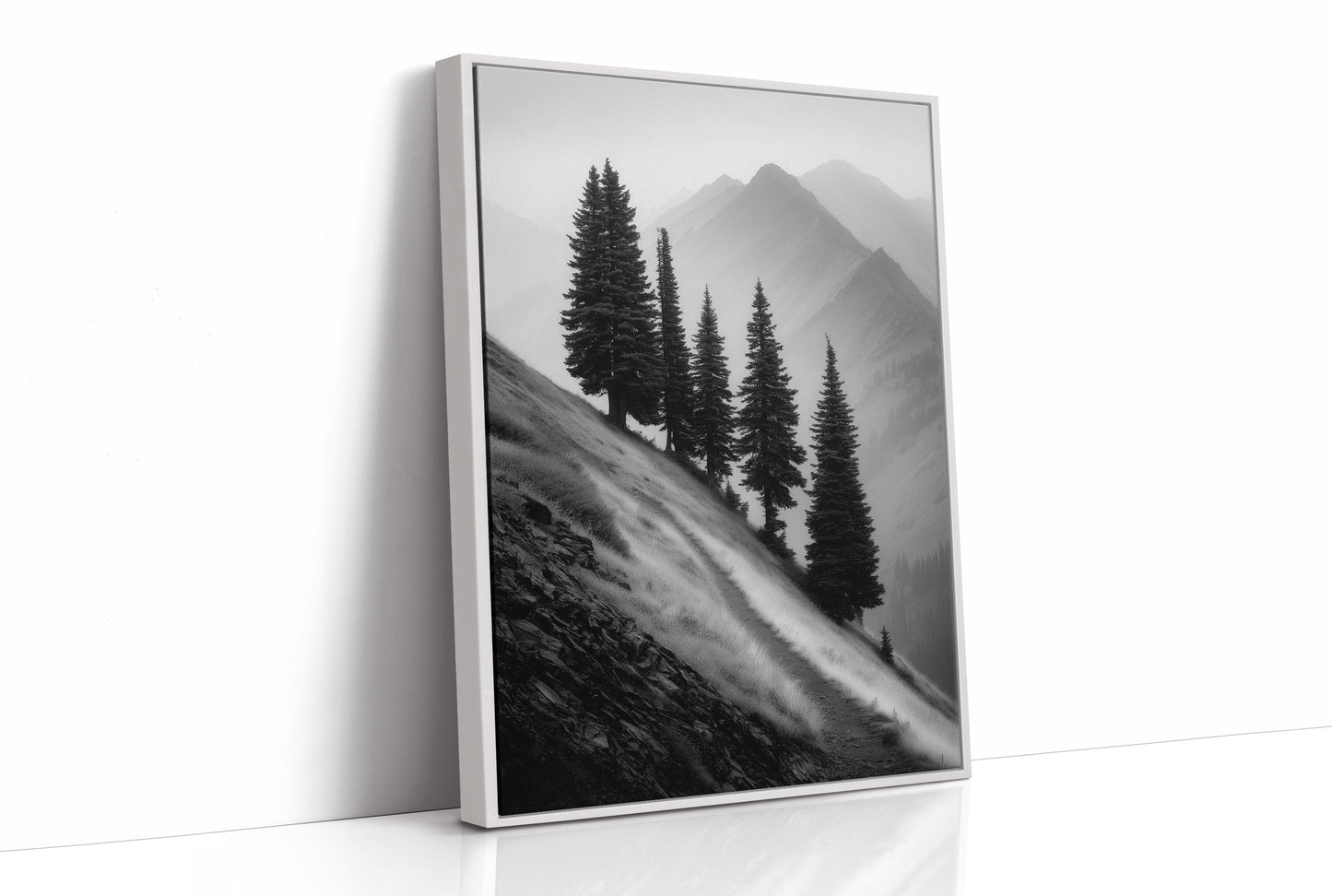 Windswept Timberline
